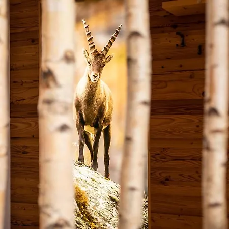 Pramstraller Ξενοδοχείο 4*