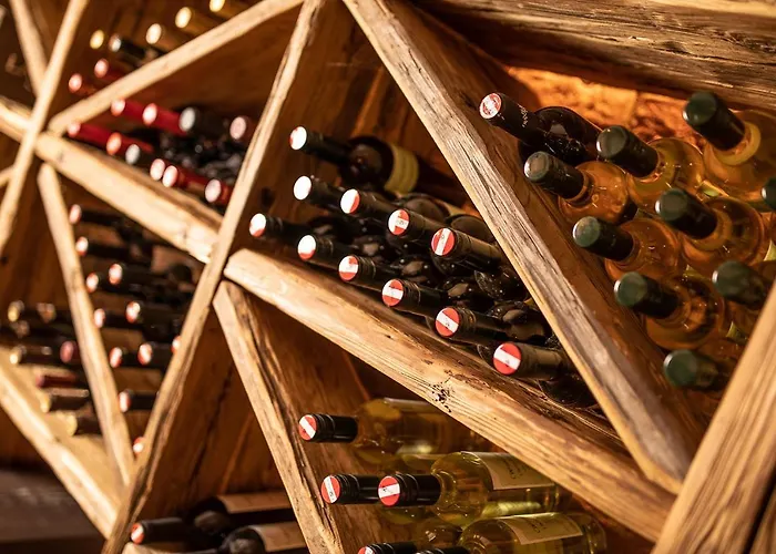 Pramstraller 4* Mayrhofen